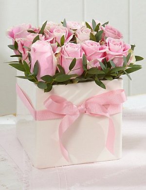 1 a soft pink roses
