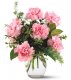 1 A Pink Notion Vase